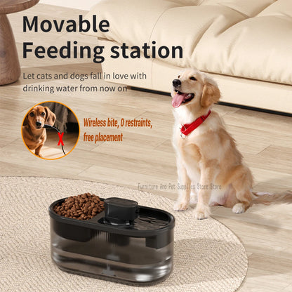 Pet Cat Automatic Induction Feeder Water Dispenser Large Capacity Water Dispenser Dry Wet Separation Food Container Pet Supplies